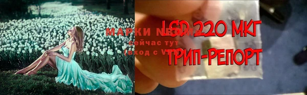 гидра Беломорск