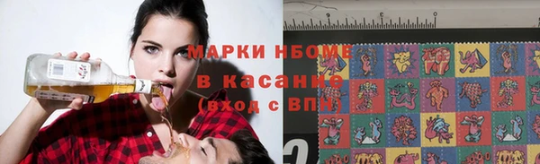 хмурый Белокуриха
