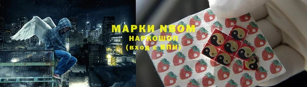 хмурый Белокуриха
