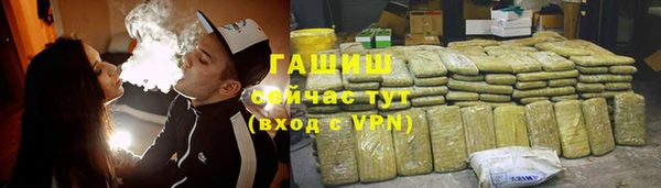 хмурый Белокуриха