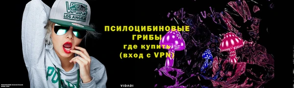 хмурый Белокуриха