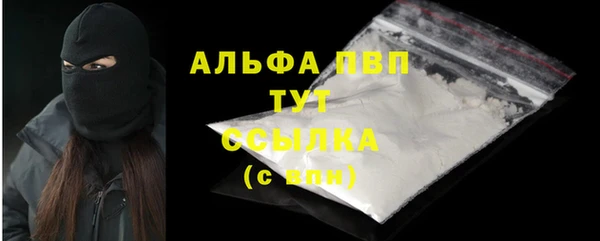 хмурый Белокуриха