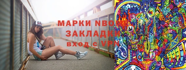хмурый Белокуриха