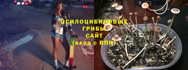 гидра Беломорск