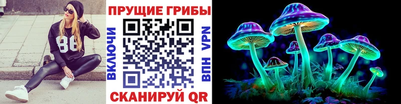блэк спрут вход  Никольское  Галлюциногенные грибы Psilocybine cubensis 
